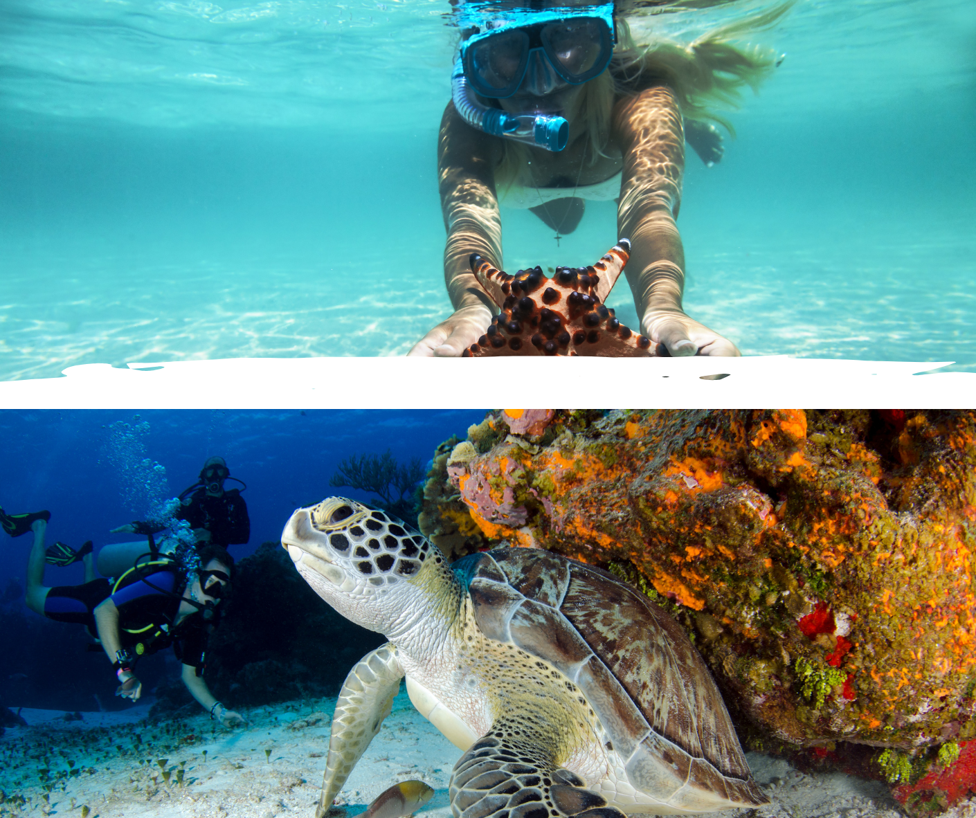 Cebu Shrine and Magellan's Cross historical landmark